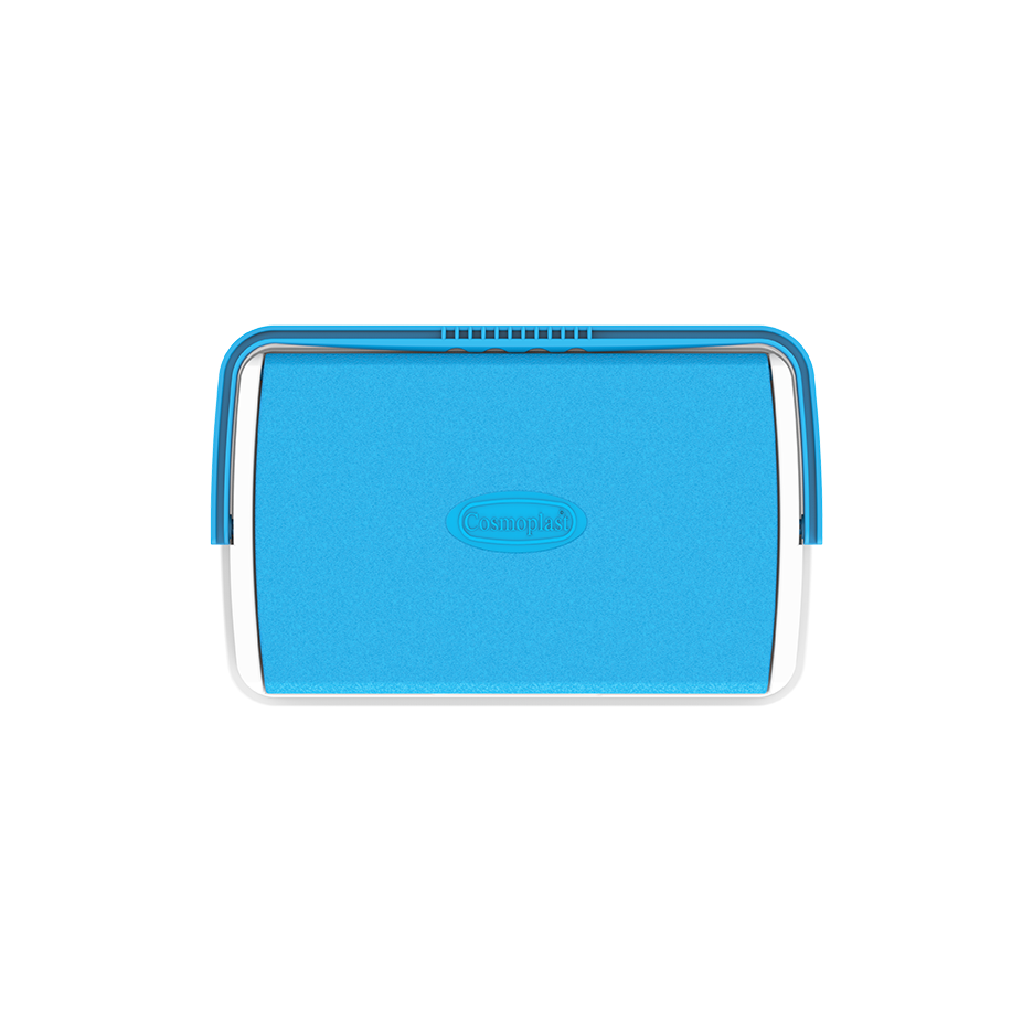 10L KeepCold Picnic Icebox