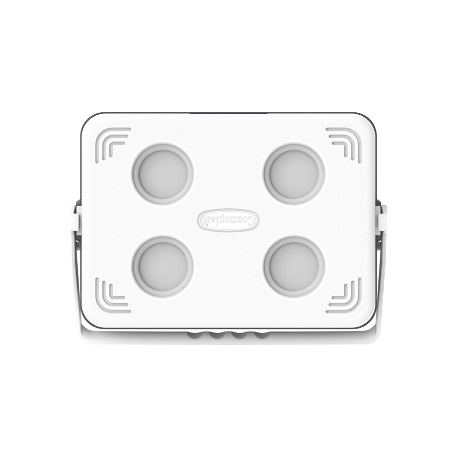 24L KeepCold Picnic Icebox