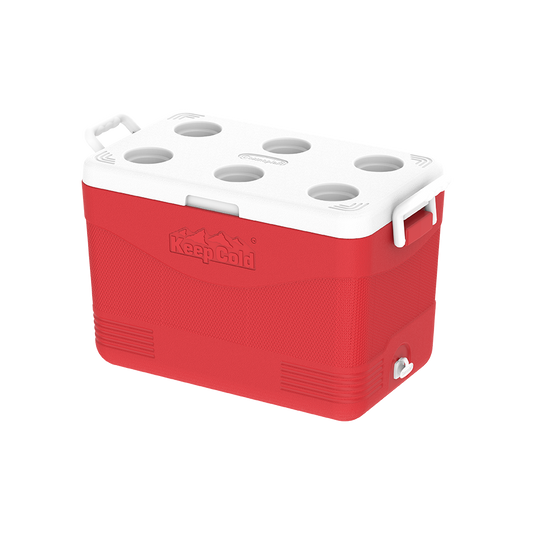 46L KeepCold Picnic Icebox