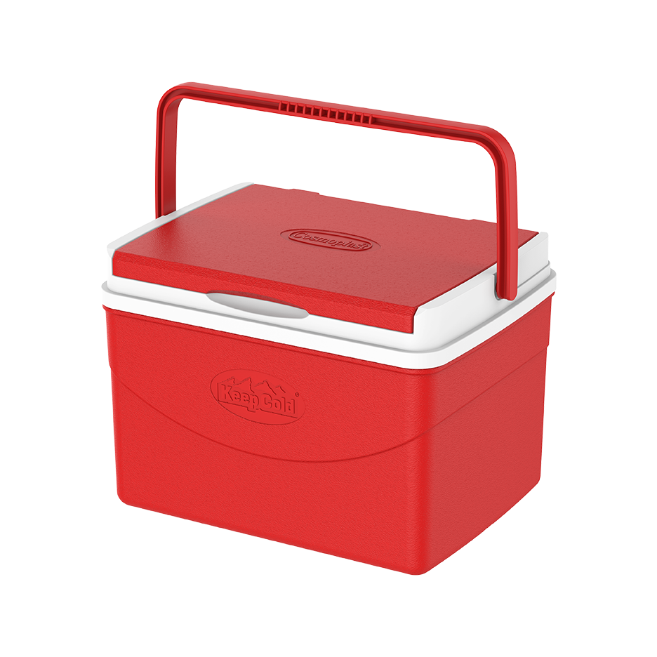 5L KeepCold Picnic Icebox