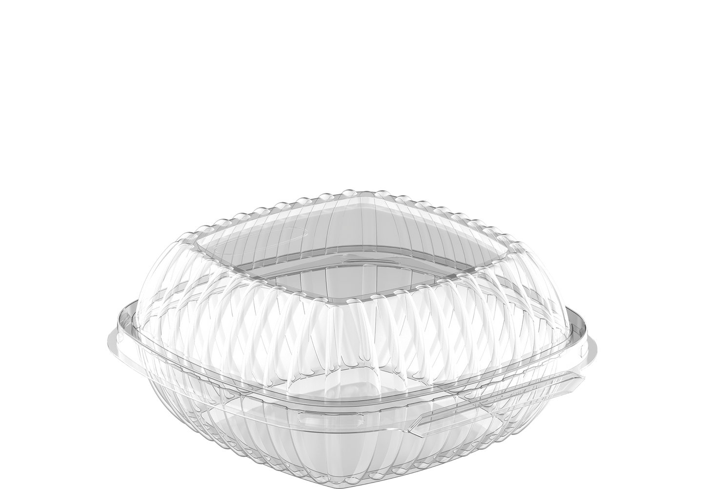Medium Burger Plastic Containers