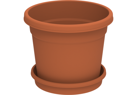 6" Round Flowerpot with Tray