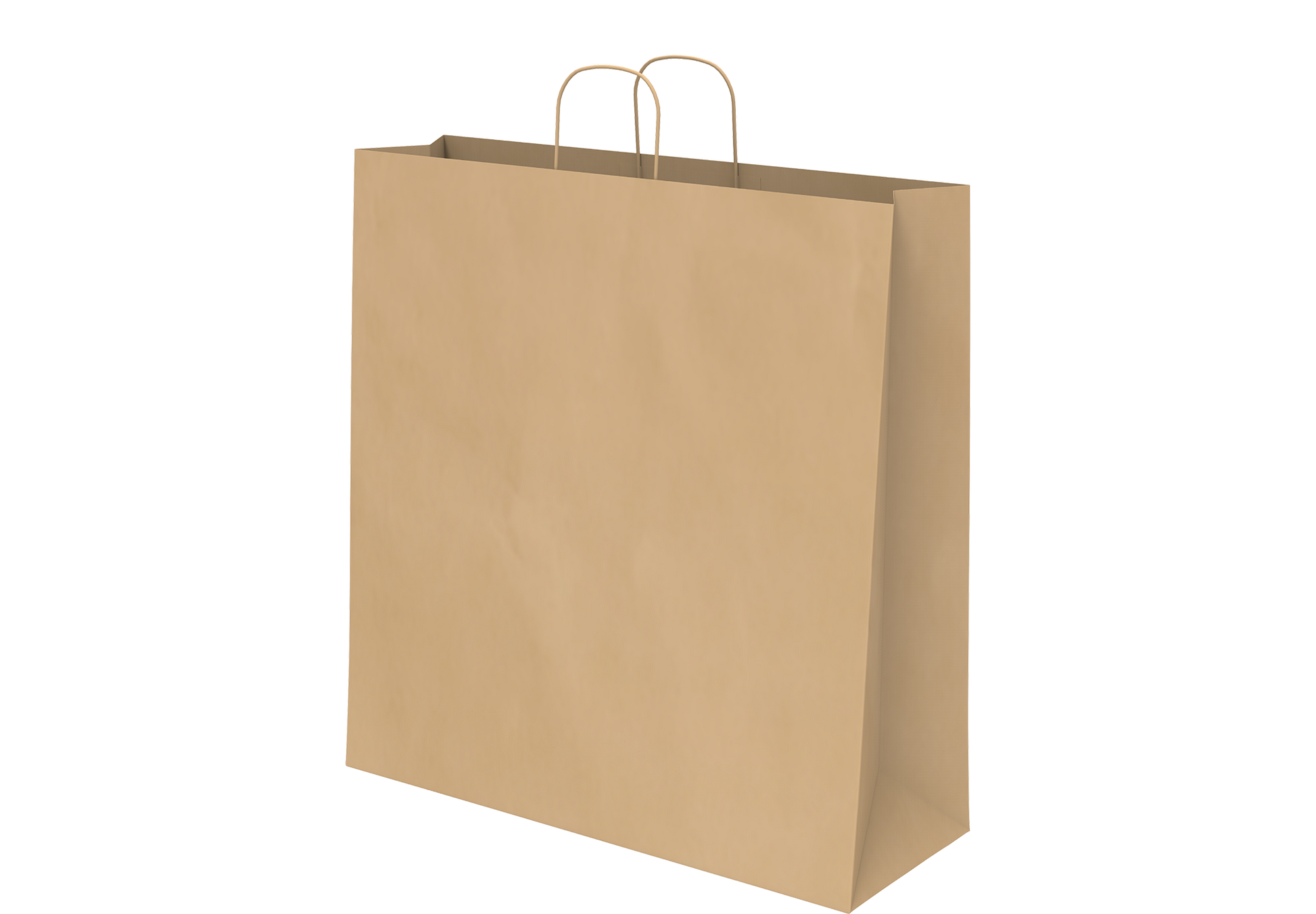 Shopping Paper Bags