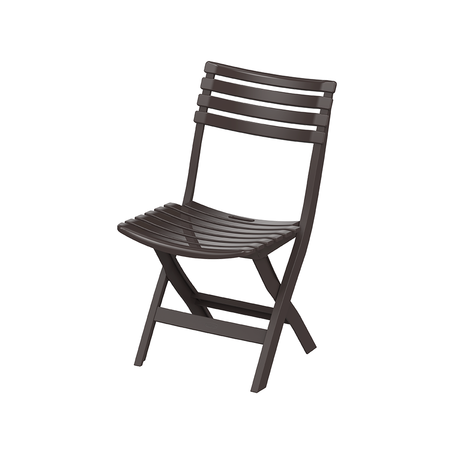 Folding Camping Chair