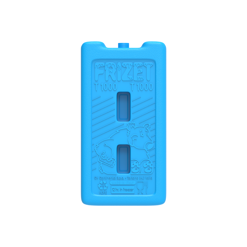 KeepCold Freezer Ice Packs T1000
