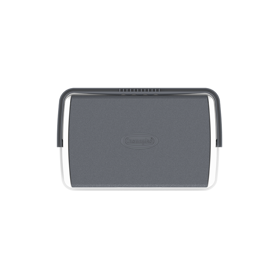 10L KeepCold Picnic Icebox