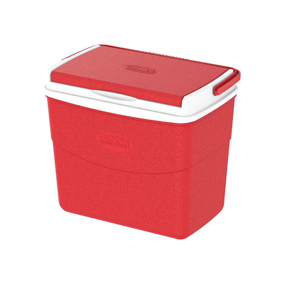 10L KeepCold Picnic Icebox