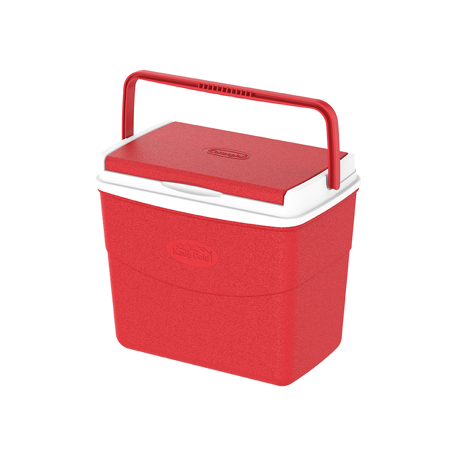 10L KeepCold Picnic Icebox