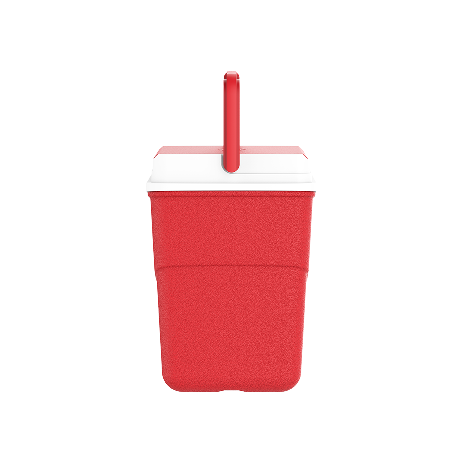 10L KeepCold Picnic Icebox