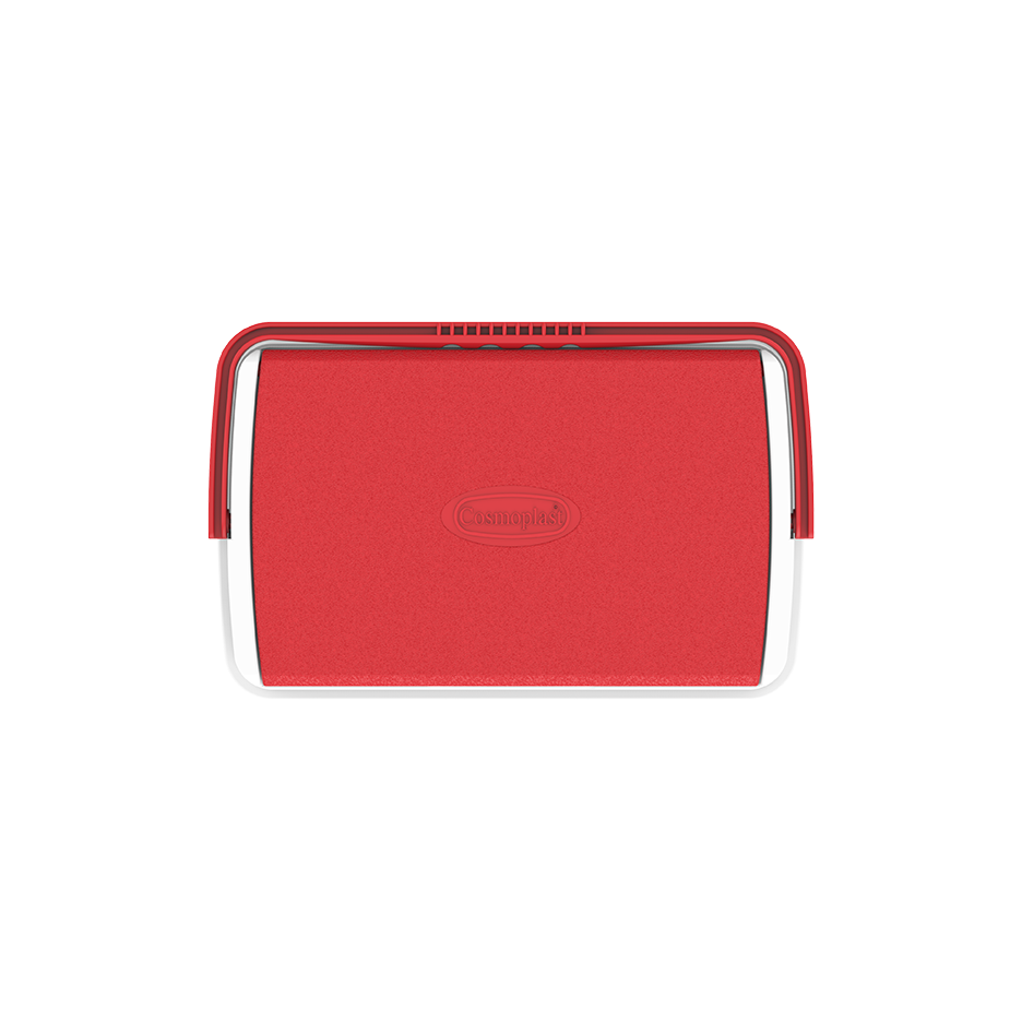 10L KeepCold Picnic Icebox