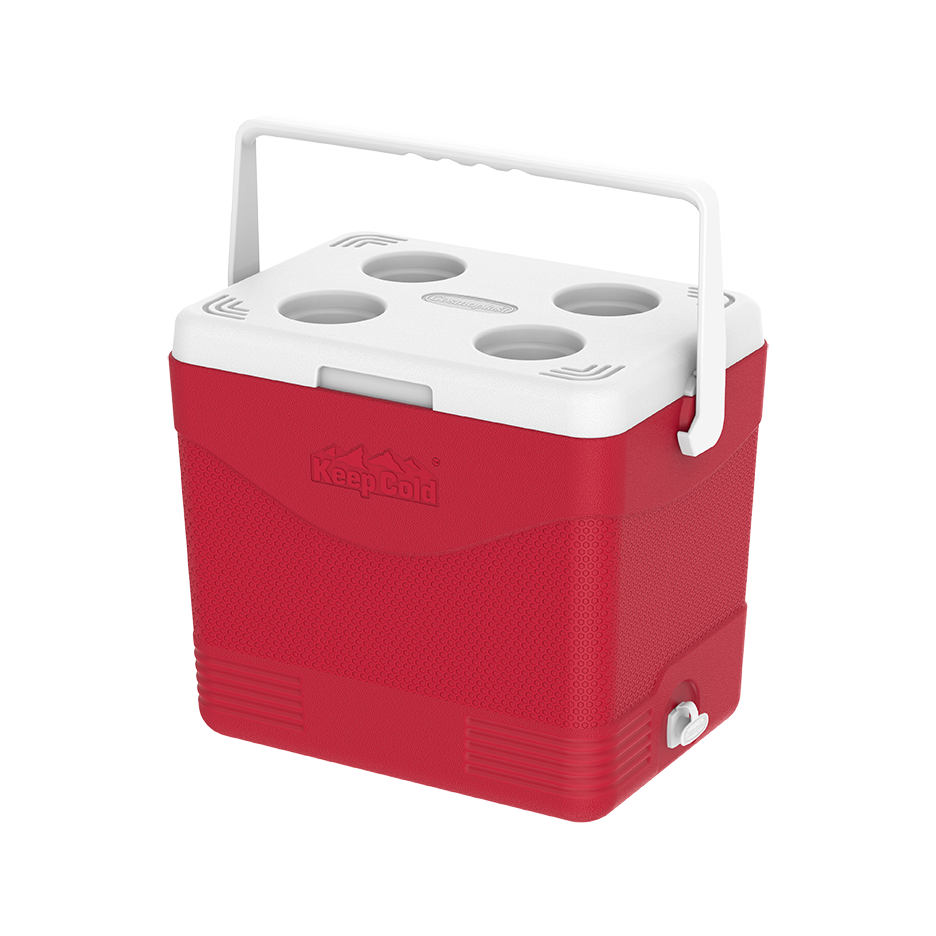 24L KeepCold Picnic Icebox