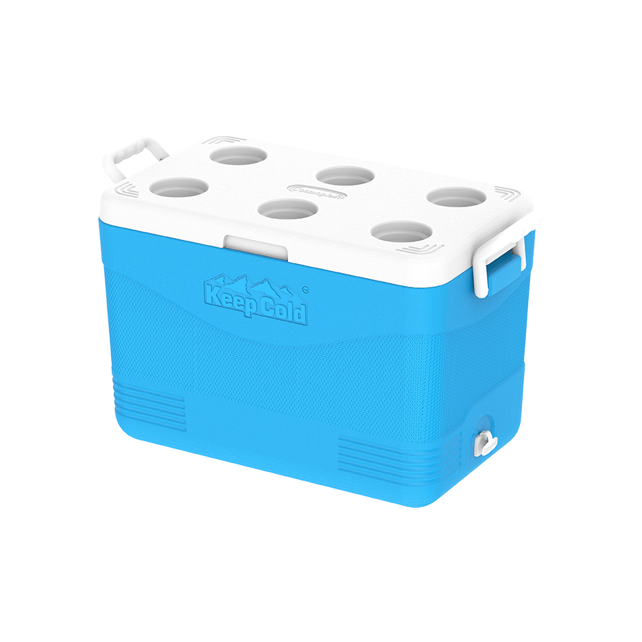 46L KeepCold Picnic Icebox UAE