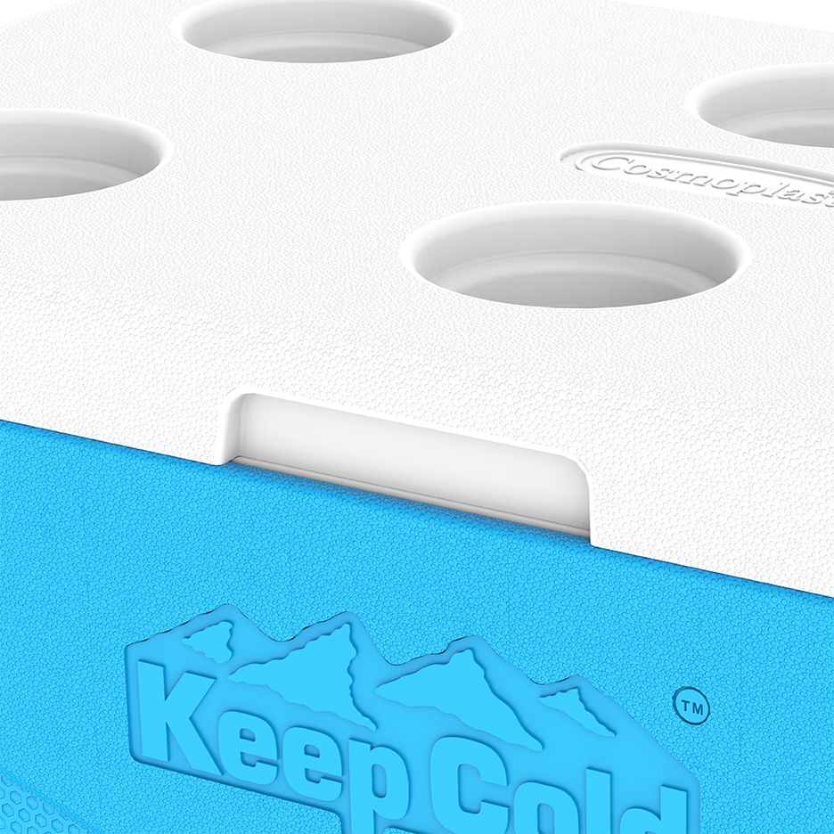 46L KeepCold Picnic Icebox UAE