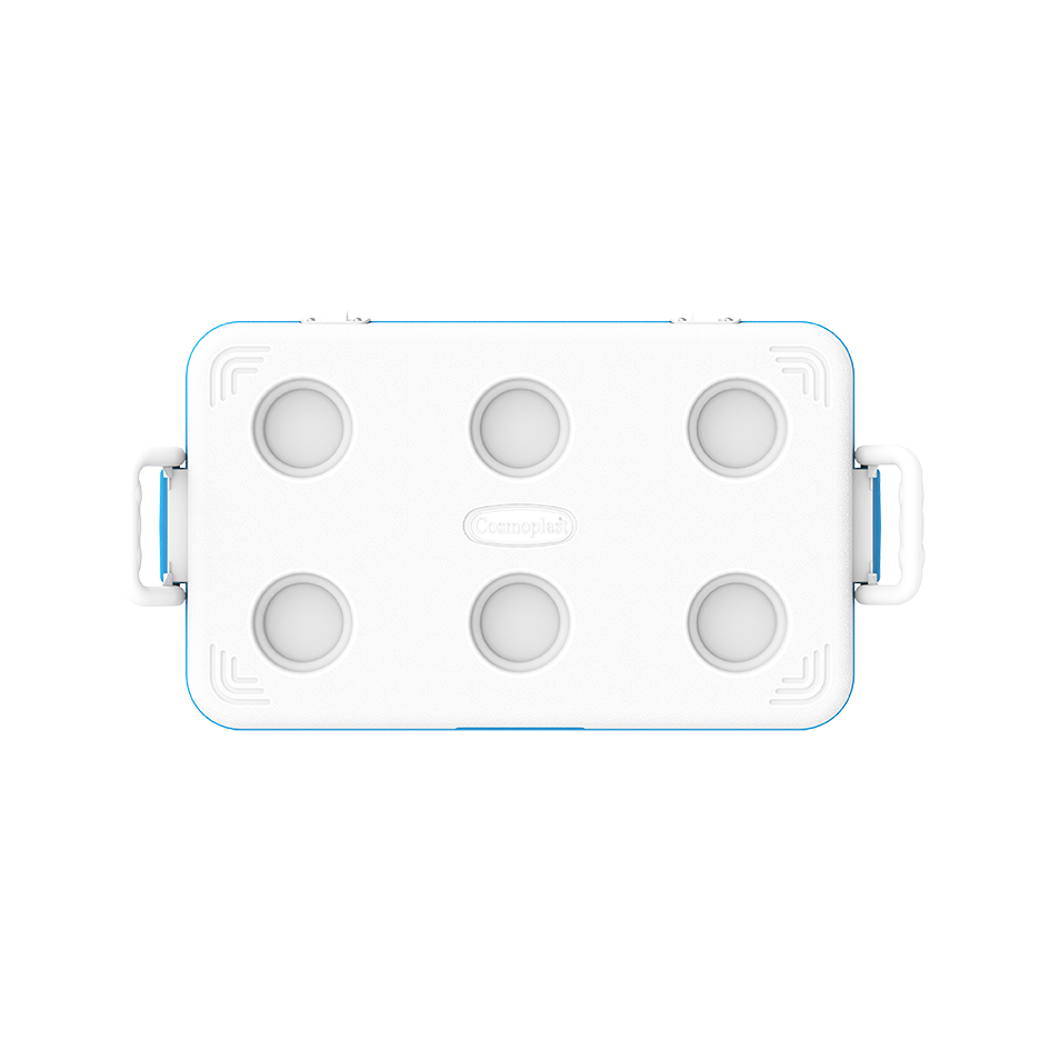 46L KeepCold Picnic Icebox UAE