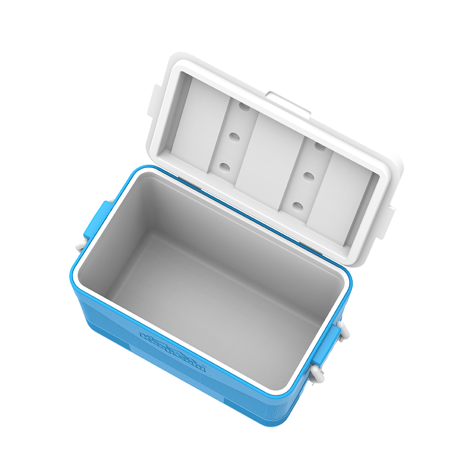 46L KeepCold Picnic Icebox UAE