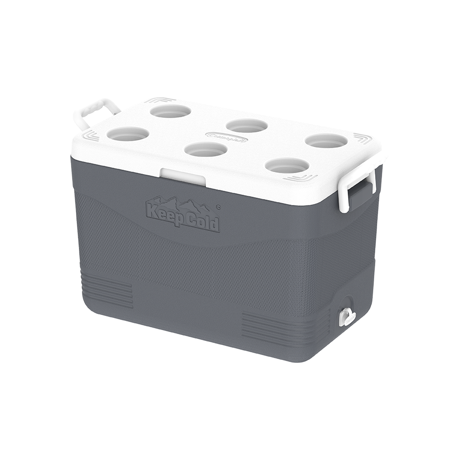 46L KeepCold Picnic Icebox UAE