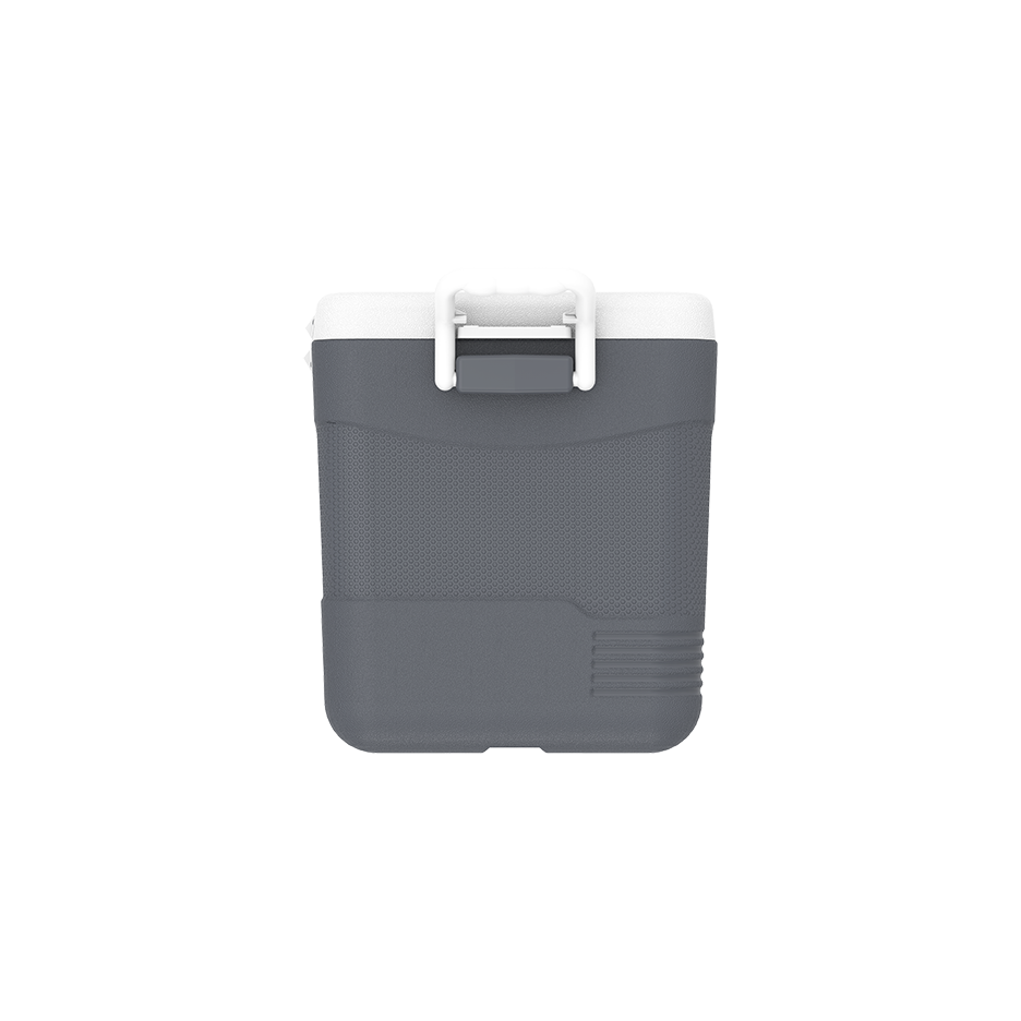 46L KeepCold Picnic Icebox UAE