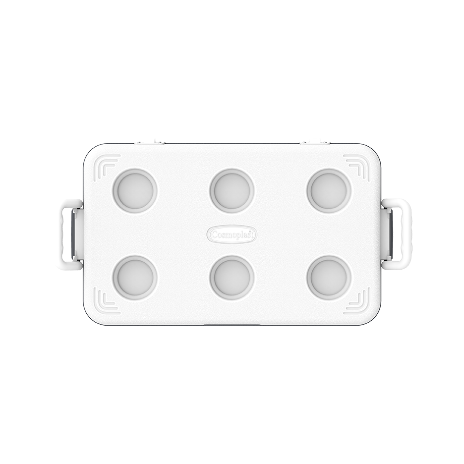 46L KeepCold Picnic Icebox UAE