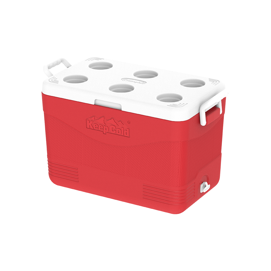 46L KeepCold Picnic Icebox