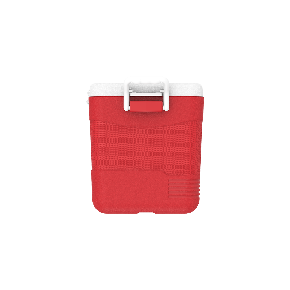 46L KeepCold Picnic Icebox UAE