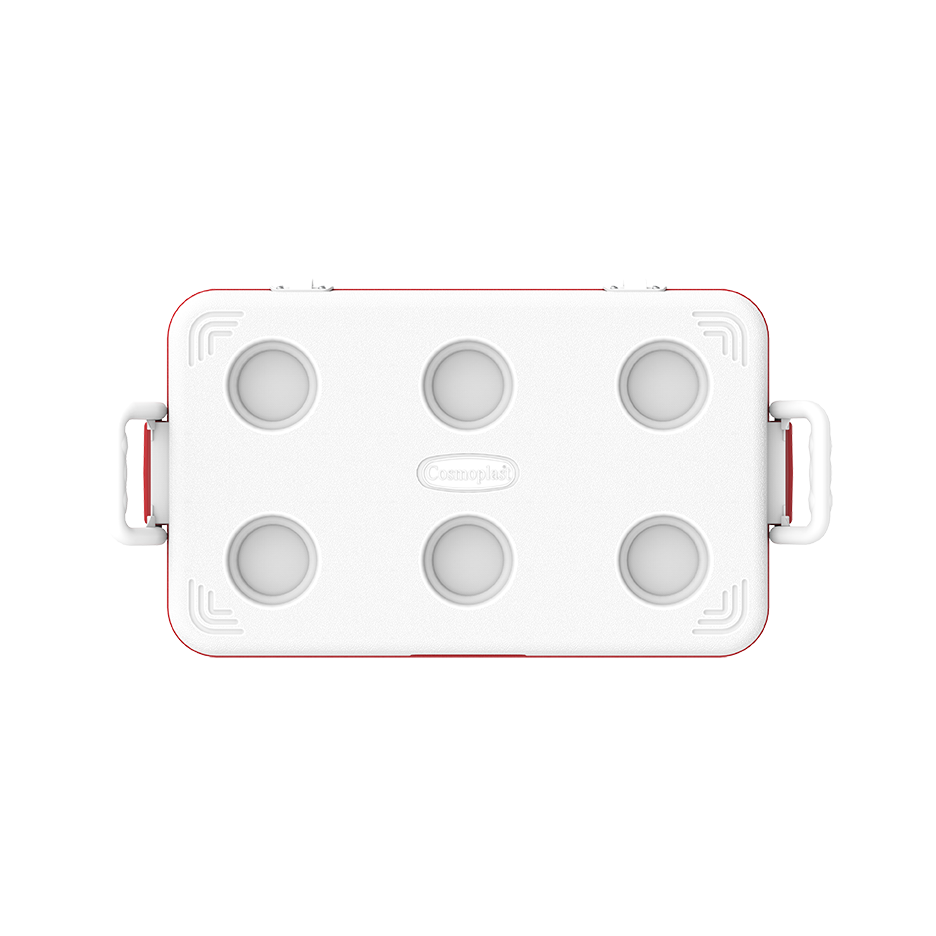 46L KeepCold Picnic Icebox UAE