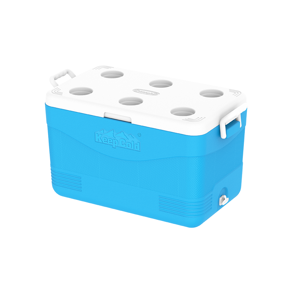 ايس بوكس كيبكولد بيكنيك 60 لتر
