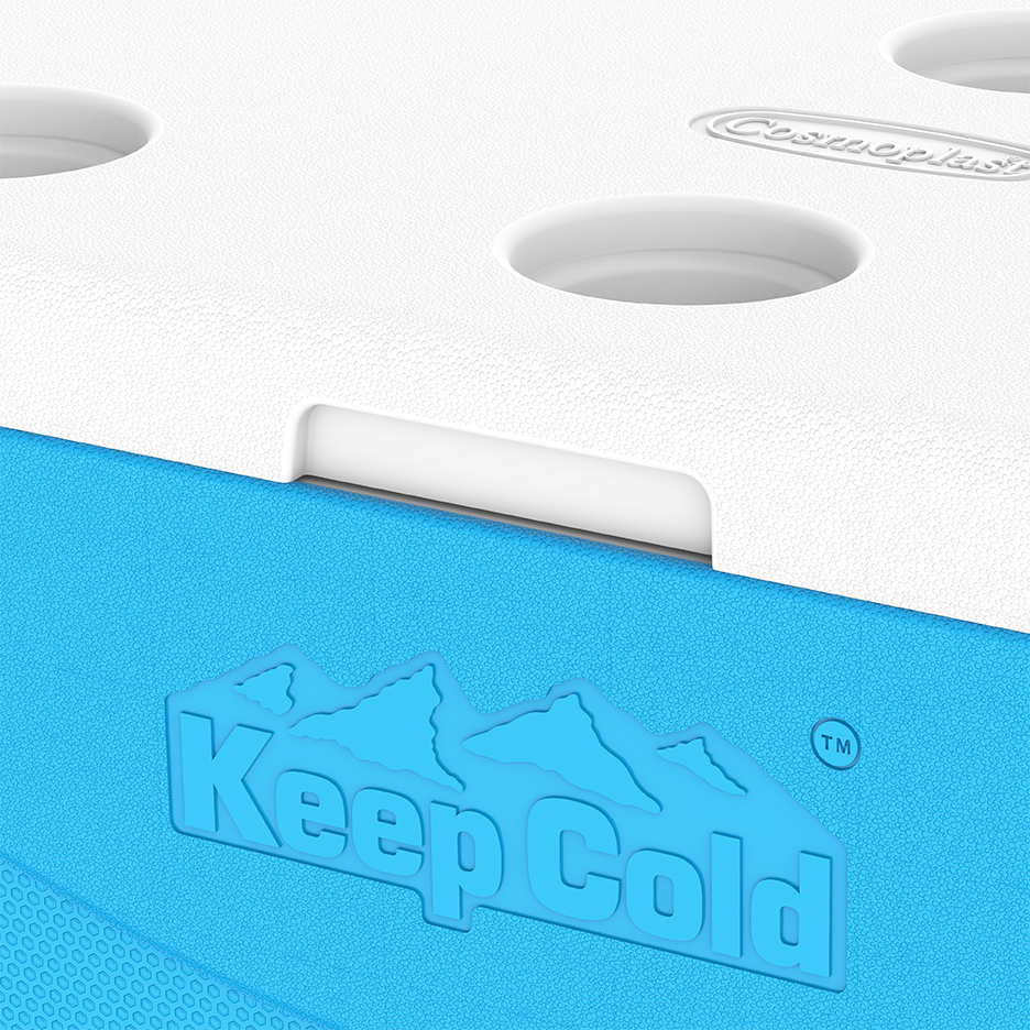 ايس بوكس كيبكولد بيكنيك 60 لتر
