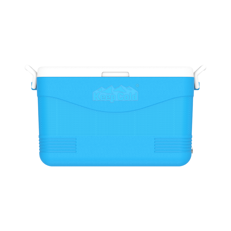 ايس بوكس كيبكولد بيكنيك 60 لتر
