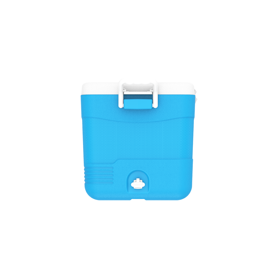 ايس بوكس كيبكولد بيكنيك 60 لتر
