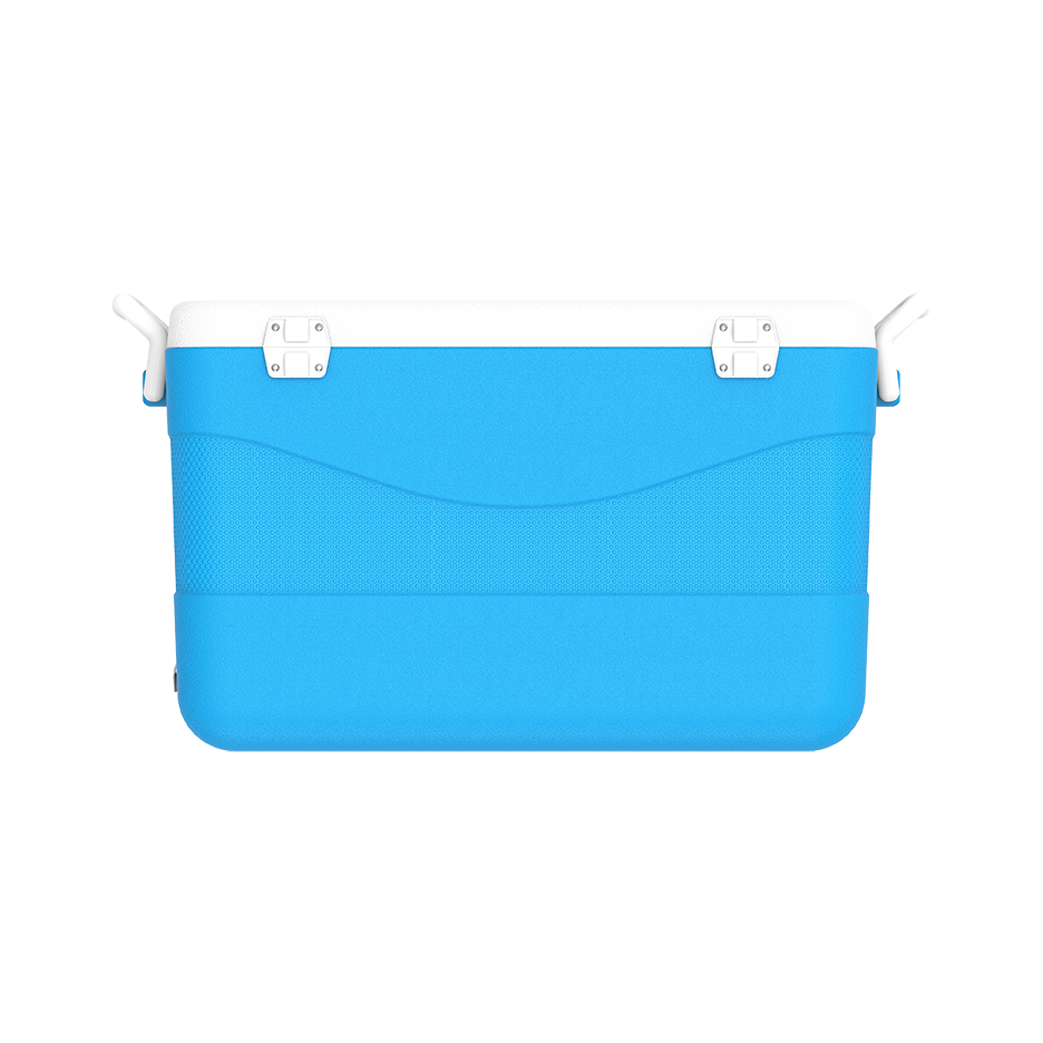 ايس بوكس كيبكولد بيكنيك 60 لتر
