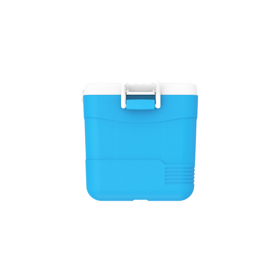 ايس بوكس كيبكولد بيكنيك 60 لتر
