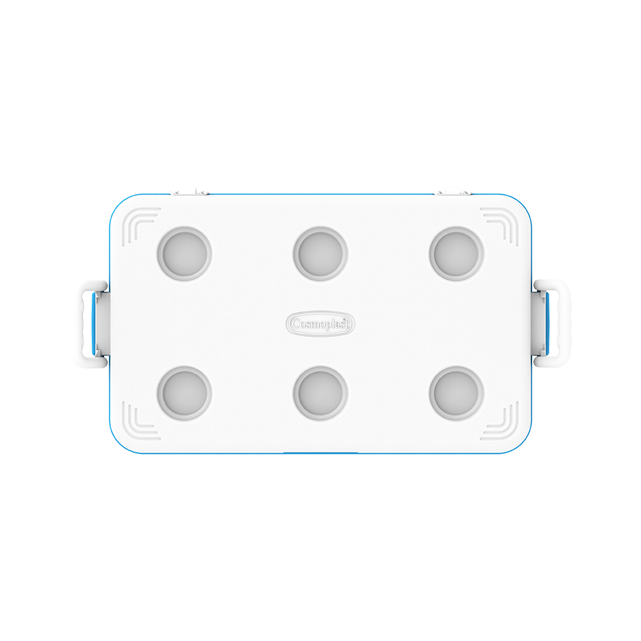 ايس بوكس كيبكولد بيكنيك 60 لتر
