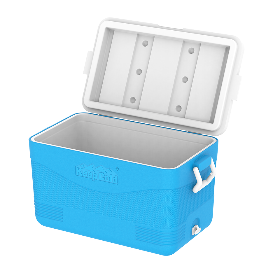 ايس بوكس كيبكولد بيكنيك 60 لتر
