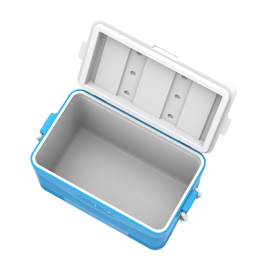 ايس بوكس كيبكولد بيكنيك 60 لتر
