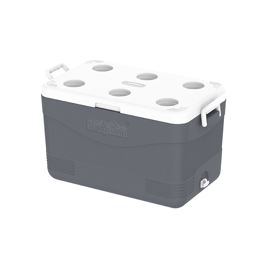 ايس بوكس كيبكولد بيكنيك 60 لتر
