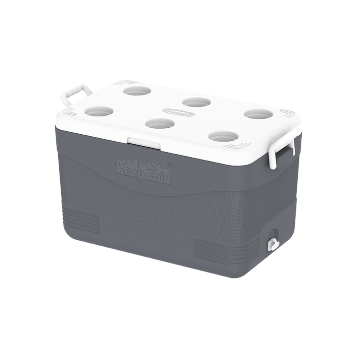 ايس بوكس كيبكولد بيكنيك 60 لتر
