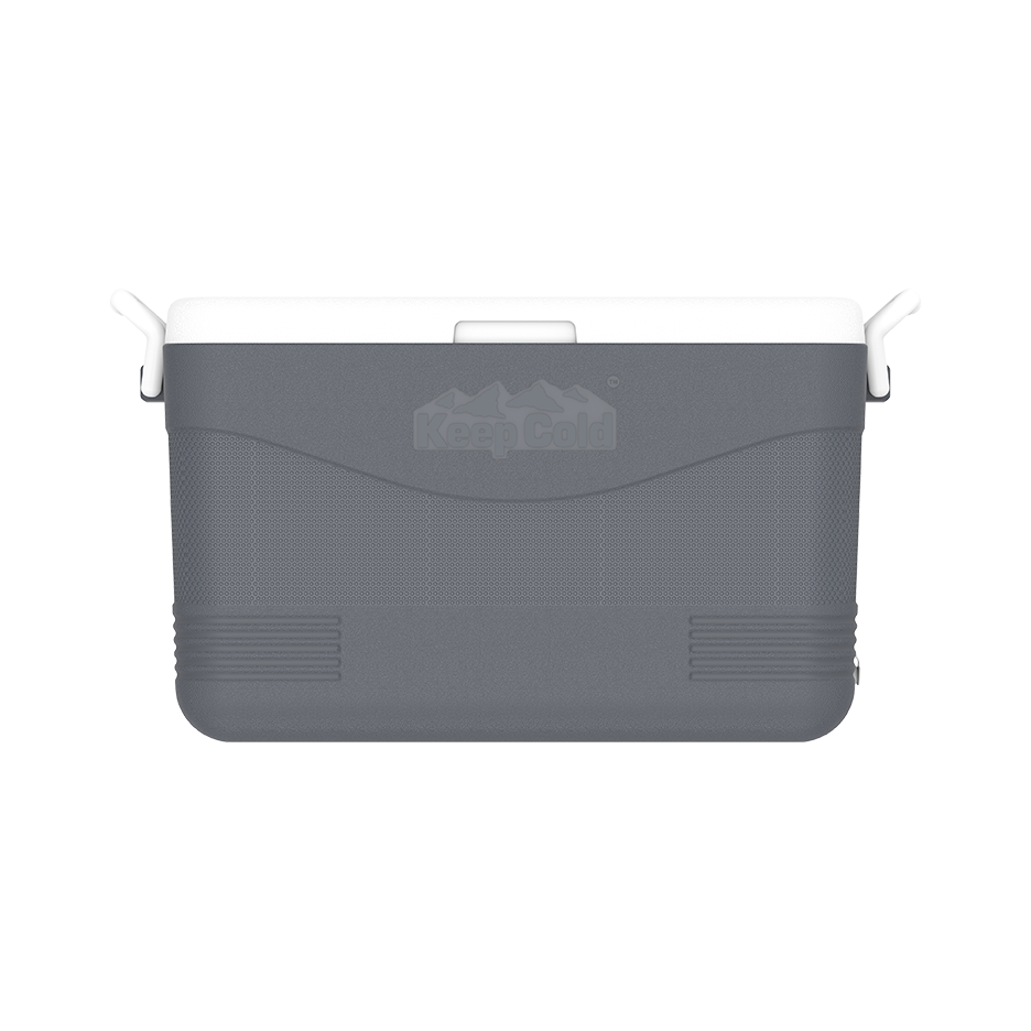 ايس بوكس كيبكولد بيكنيك 60 لتر
