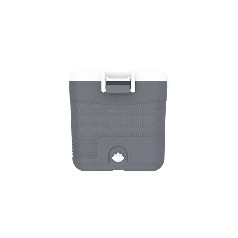 ايس بوكس كيبكولد بيكنيك 60 لتر
