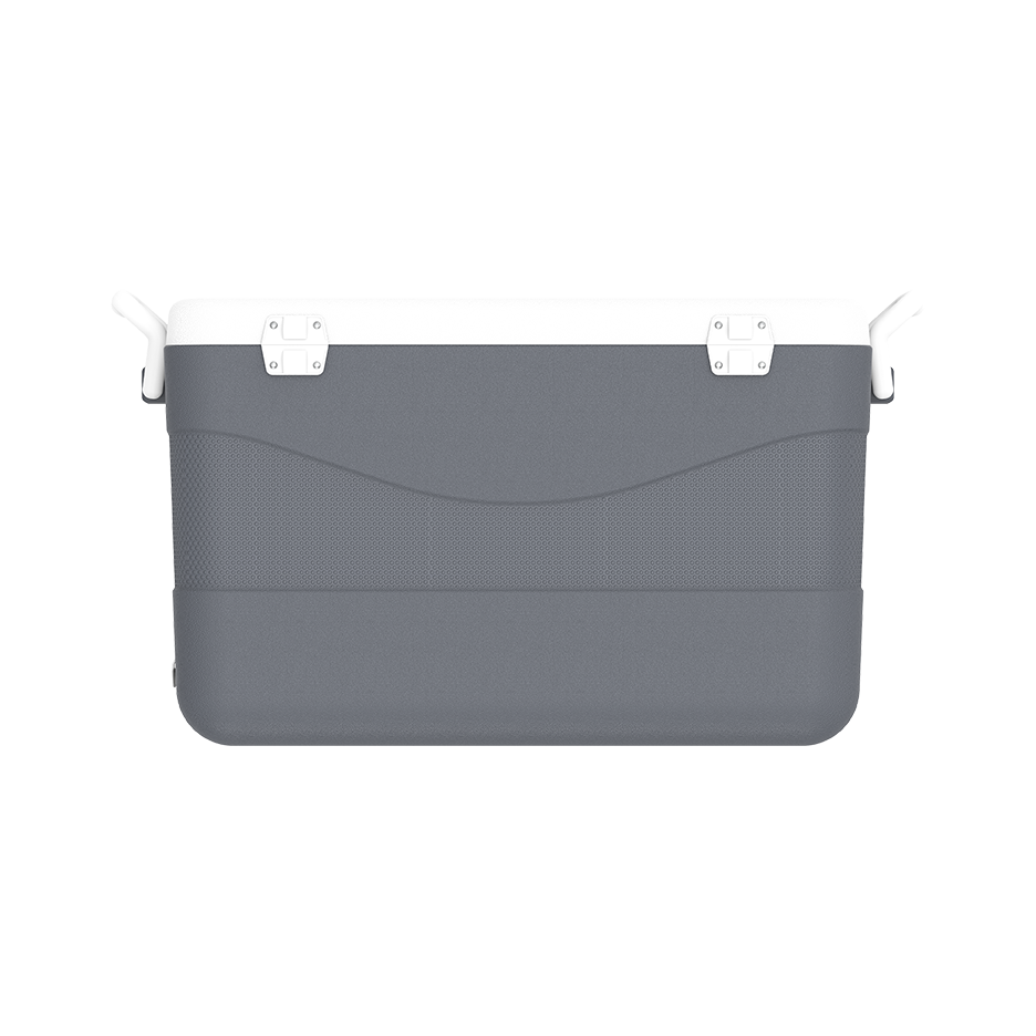 ايس بوكس كيبكولد بيكنيك 60 لتر
