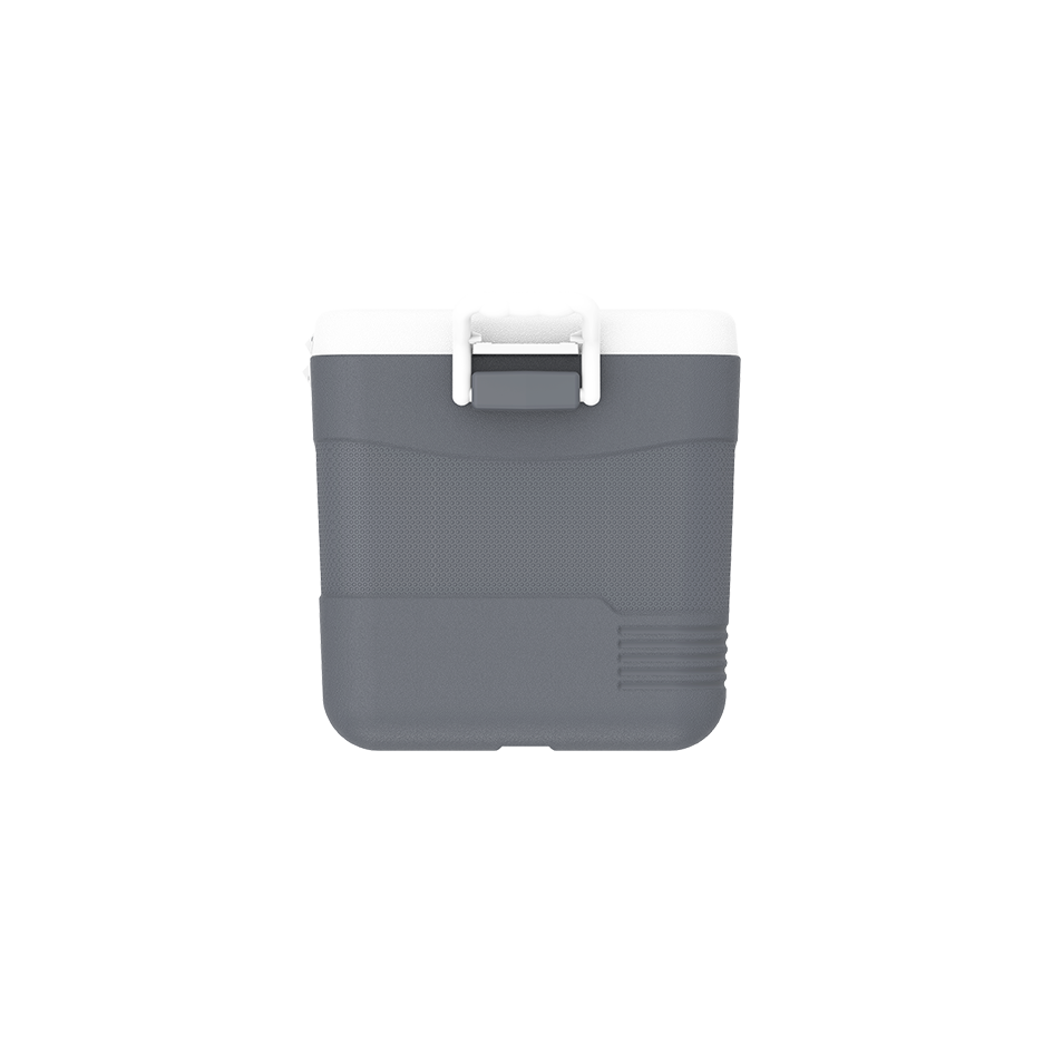 ايس بوكس كيبكولد بيكنيك 60 لتر
