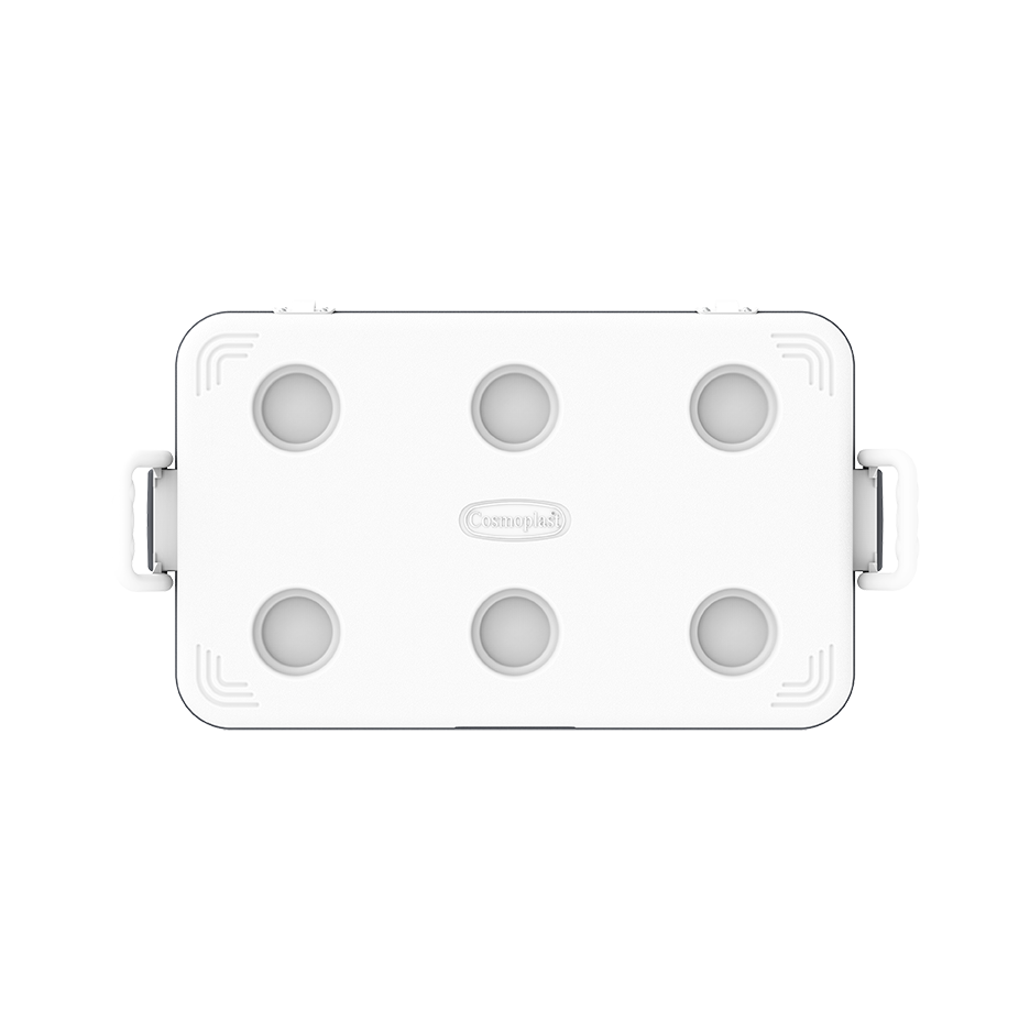 ايس بوكس كيبكولد بيكنيك 60 لتر
