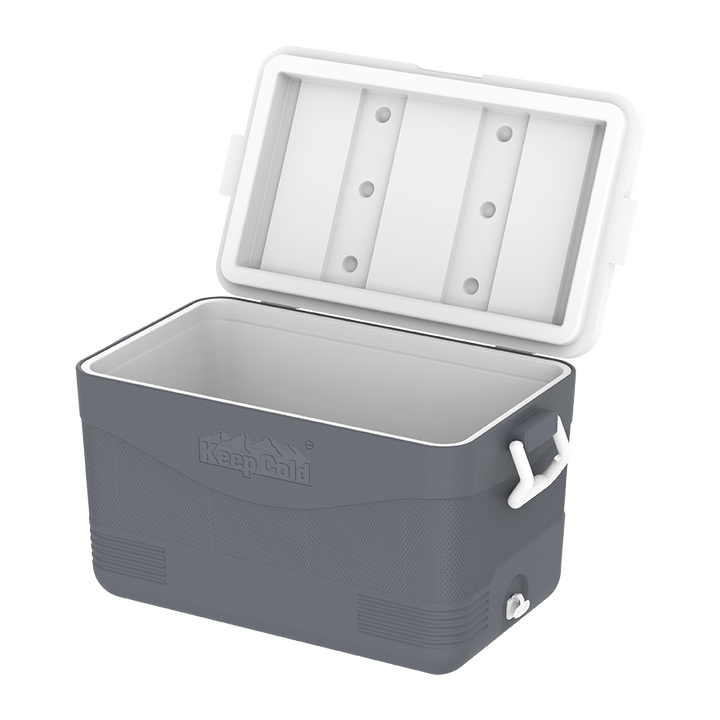 ايس بوكس كيبكولد بيكنيك 60 لتر
