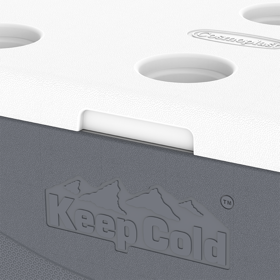 ايس بوكس كيبكولد بيكنيك 60 لتر
