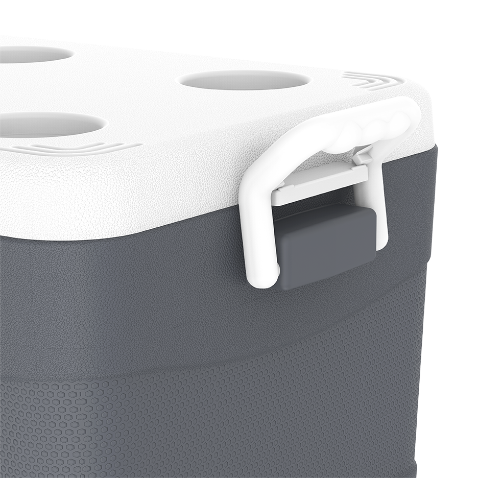 ايس بوكس كيبكولد بيكنيك 60 لتر
