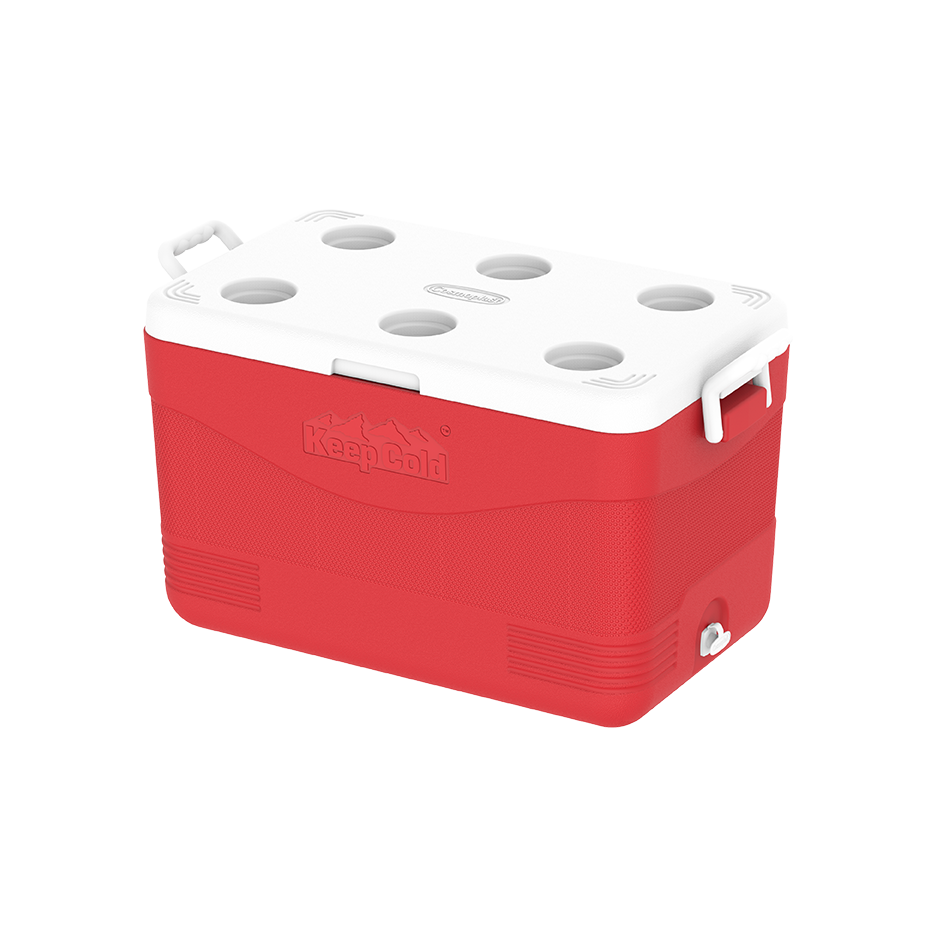 ايس بوكس كيبكولد بيكنيك 60 لتر
