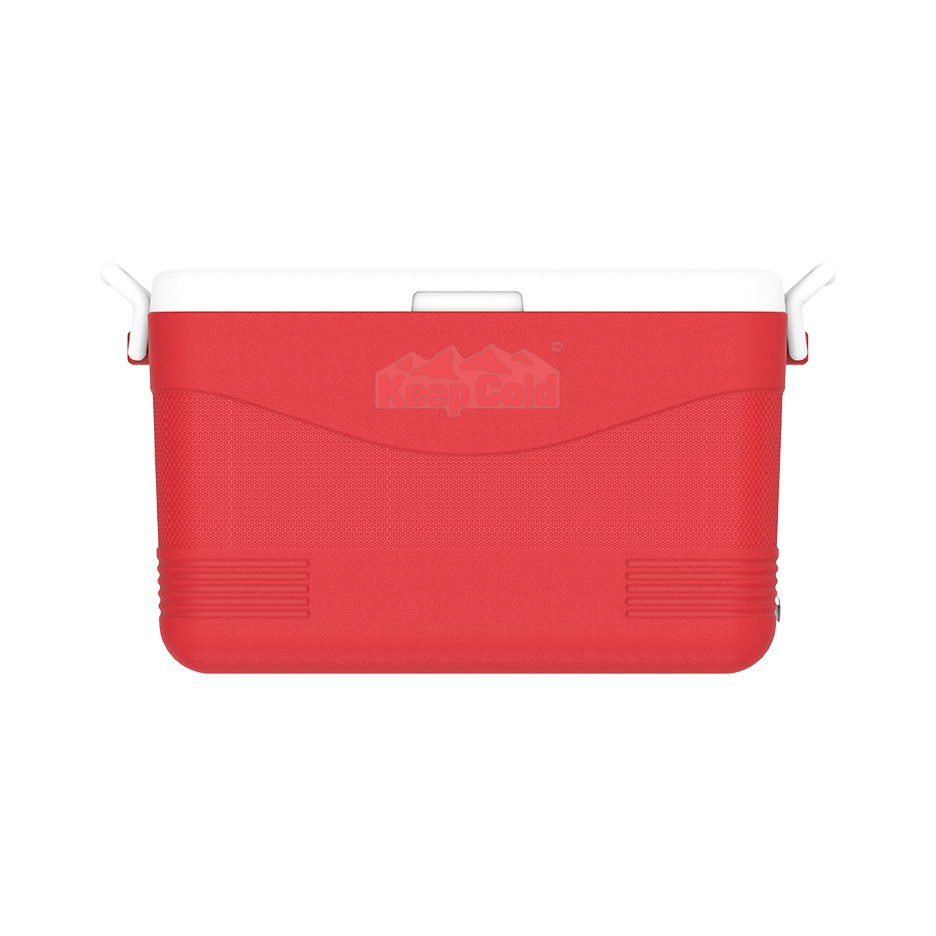 ايس بوكس كيبكولد بيكنيك 60 لتر
