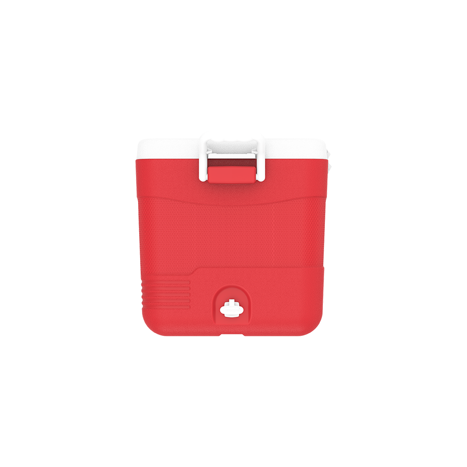 ايس بوكس كيبكولد بيكنيك 60 لتر
