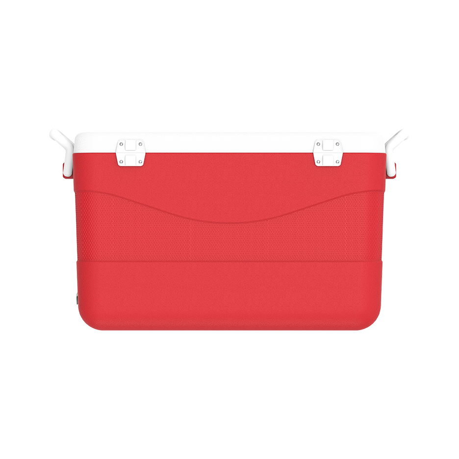 ايس بوكس كيبكولد بيكنيك 60 لتر
