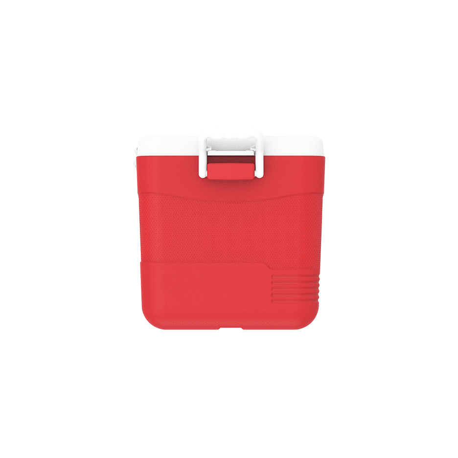 ايس بوكس كيبكولد بيكنيك 60 لتر
