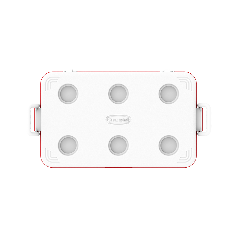 ايس بوكس كيبكولد بيكنيك 60 لتر
